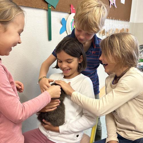 Kuscheln mit den Tieren!