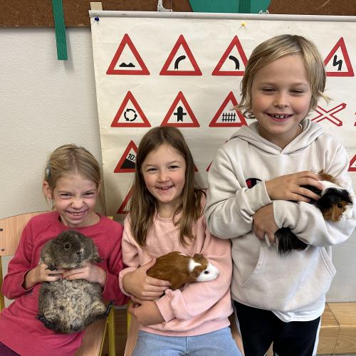 Kuscheln mit den Tieren!