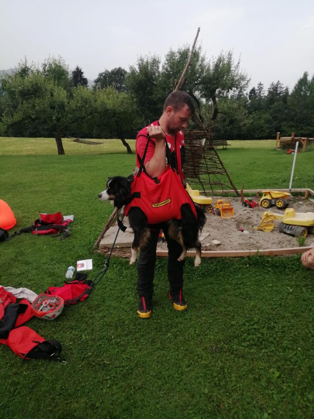 Rettungshund der Rettungsstaffel