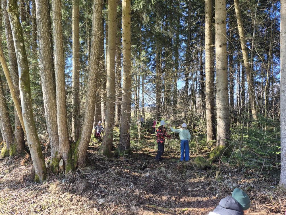 © ((c)) VS Kirchbichl 3a Kinder im Wald