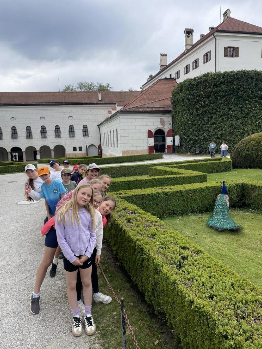 Klasse 4c in Schloss Ambras