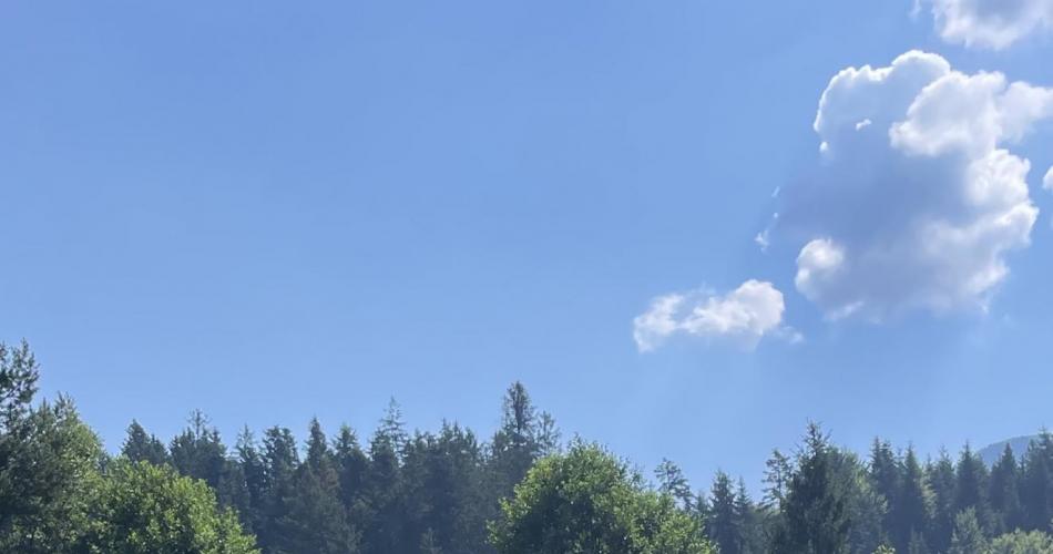 Kinder auf der Wiese